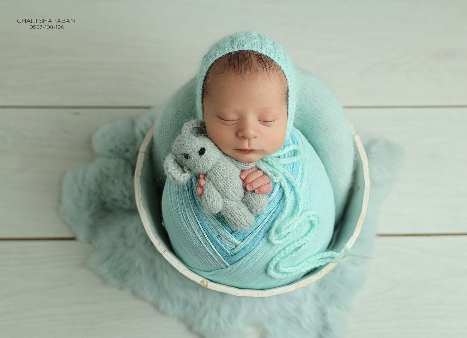 צילום חני שרבאני 07_1600x1159.jpg