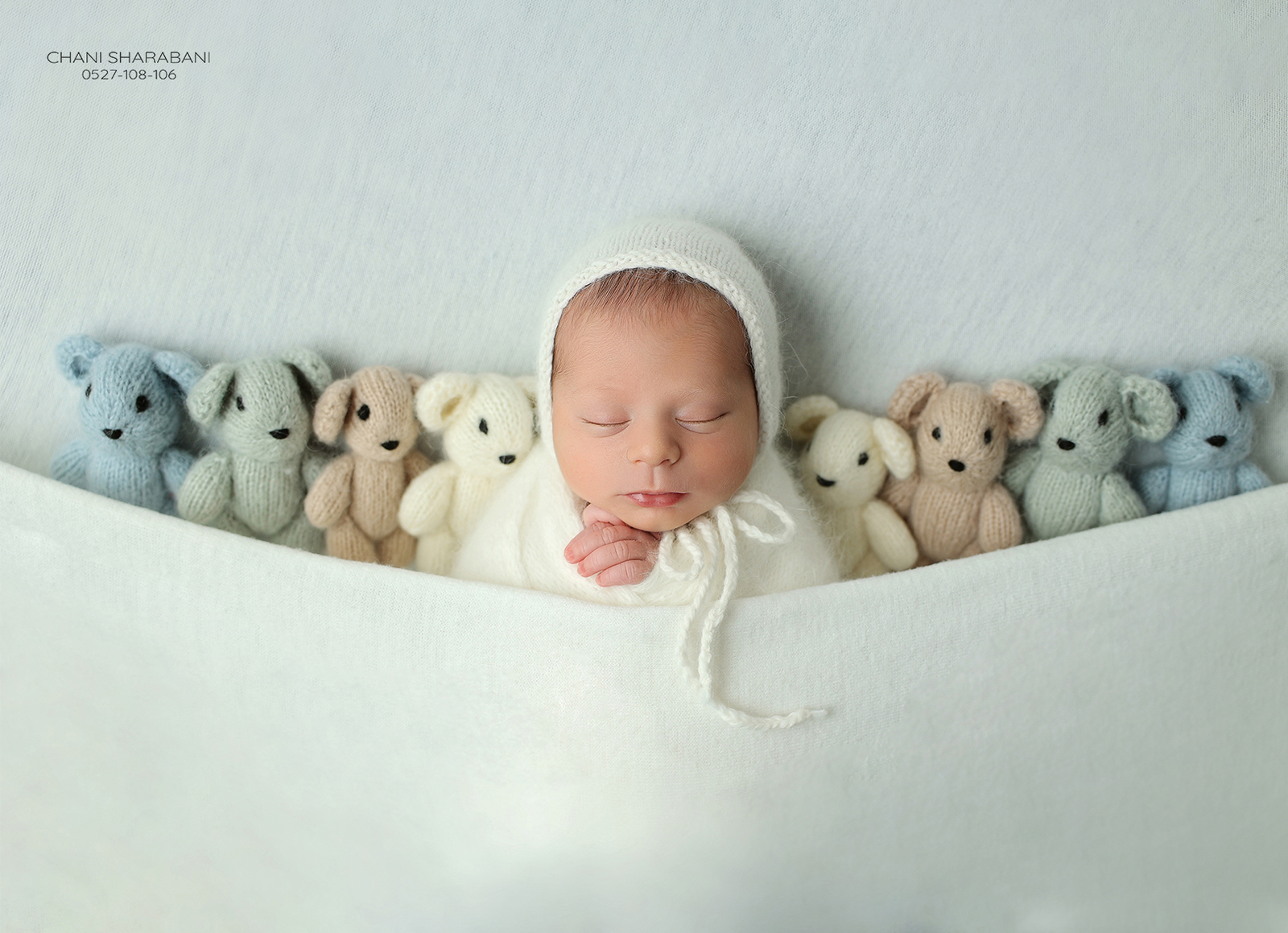 צילום חני שרבאני 09_1600x1159.jpg