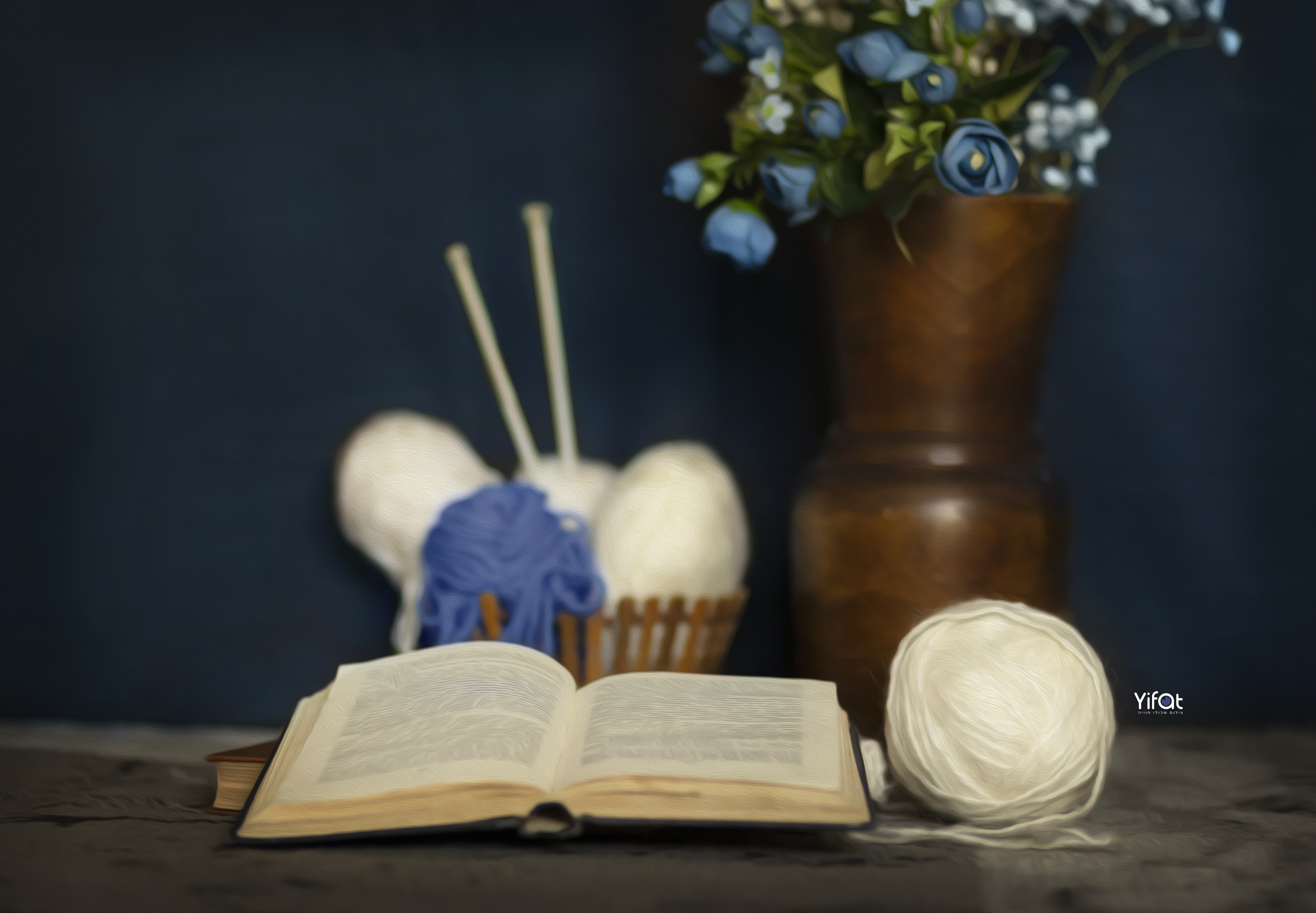 צילום יפעת 0556786943 (1).jpg