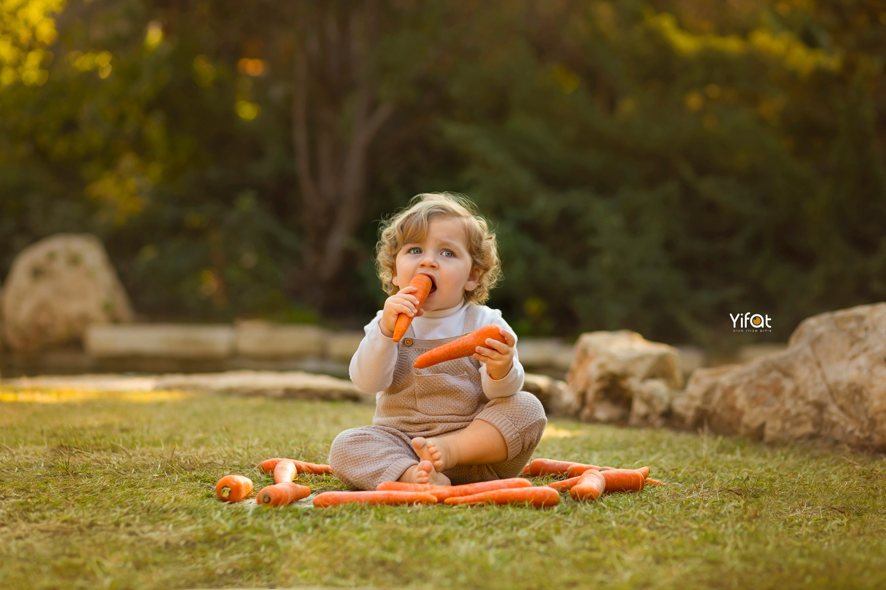 צילום יפעת 0556786943 (10).jpg