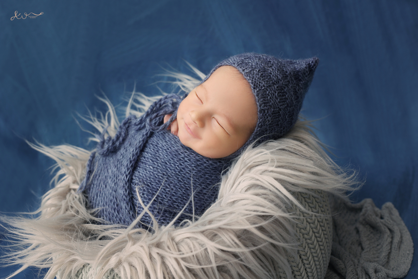 צילום כהן (14).JPG