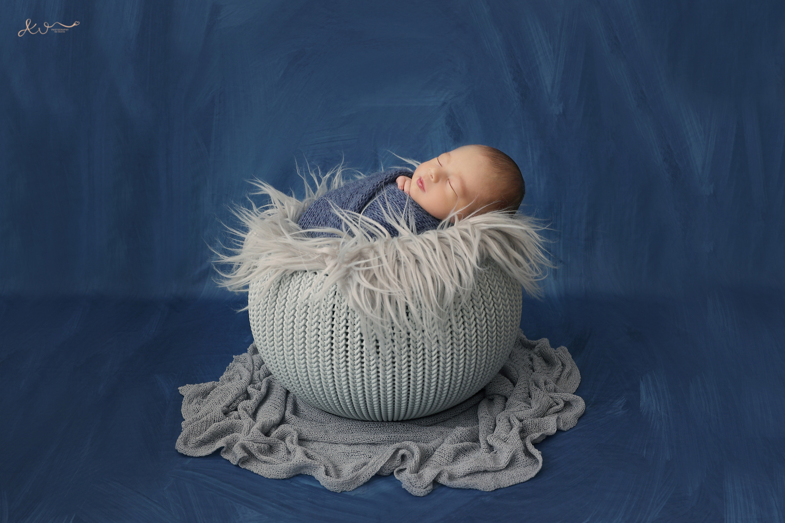 צילום כהן (2).JPG