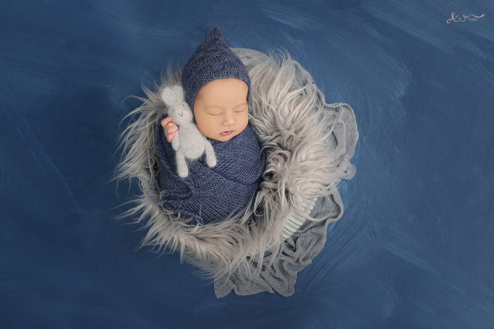 צילום כהן (23).JPG