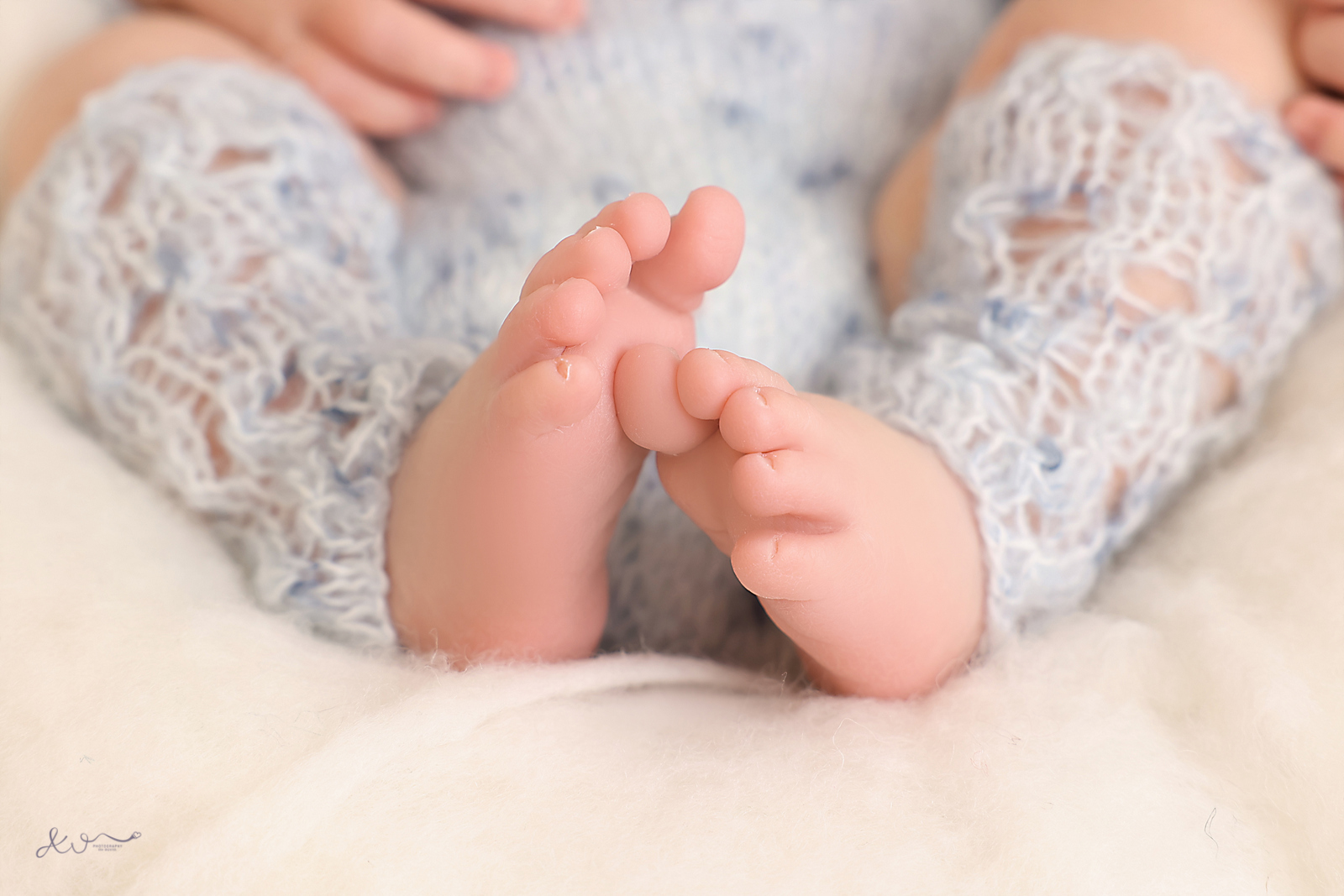 צילום כהן (96).JPG