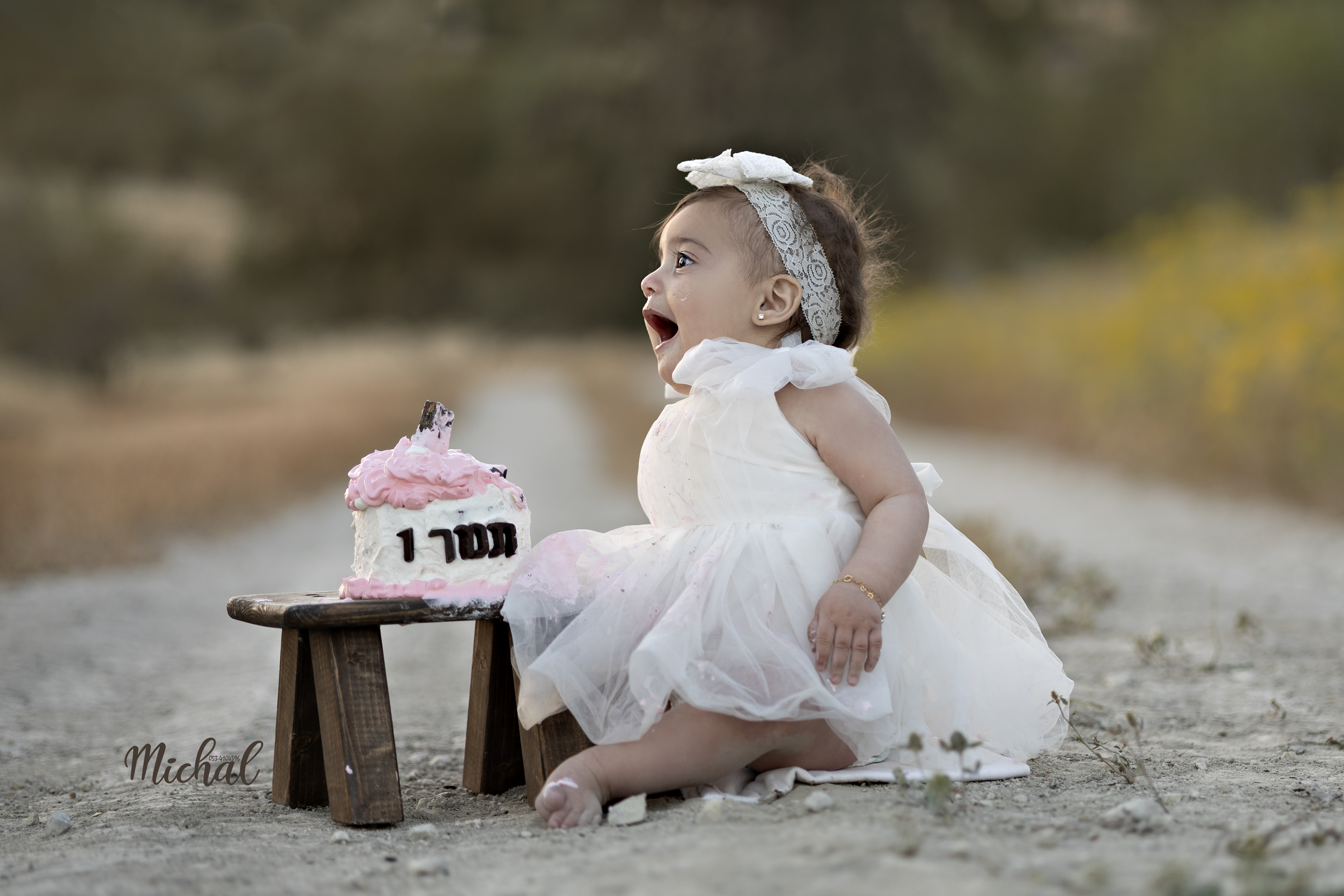 צילום  מיכל הרוש 0534104396    .jpg