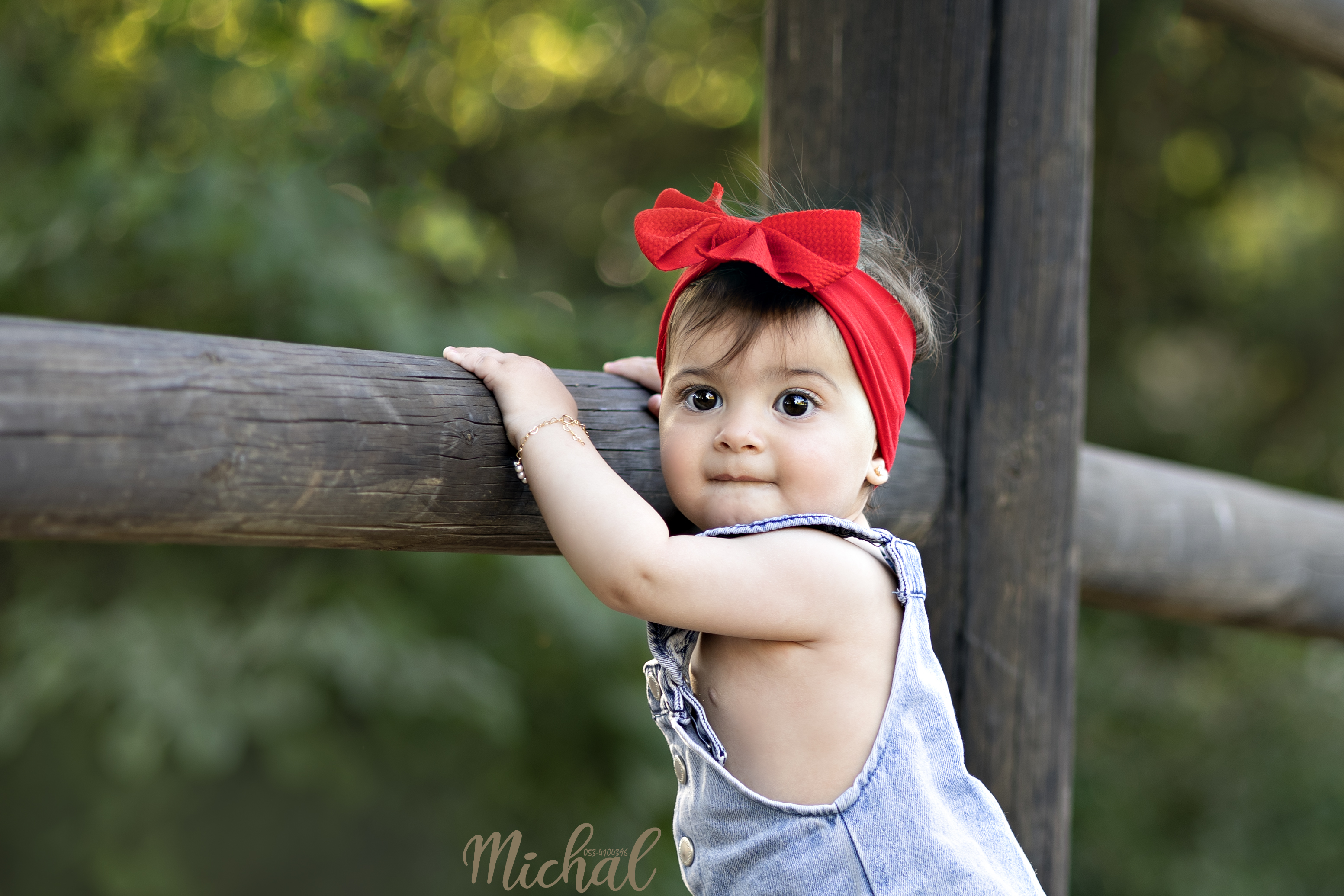 צילום מיכל  0534104396.jpg