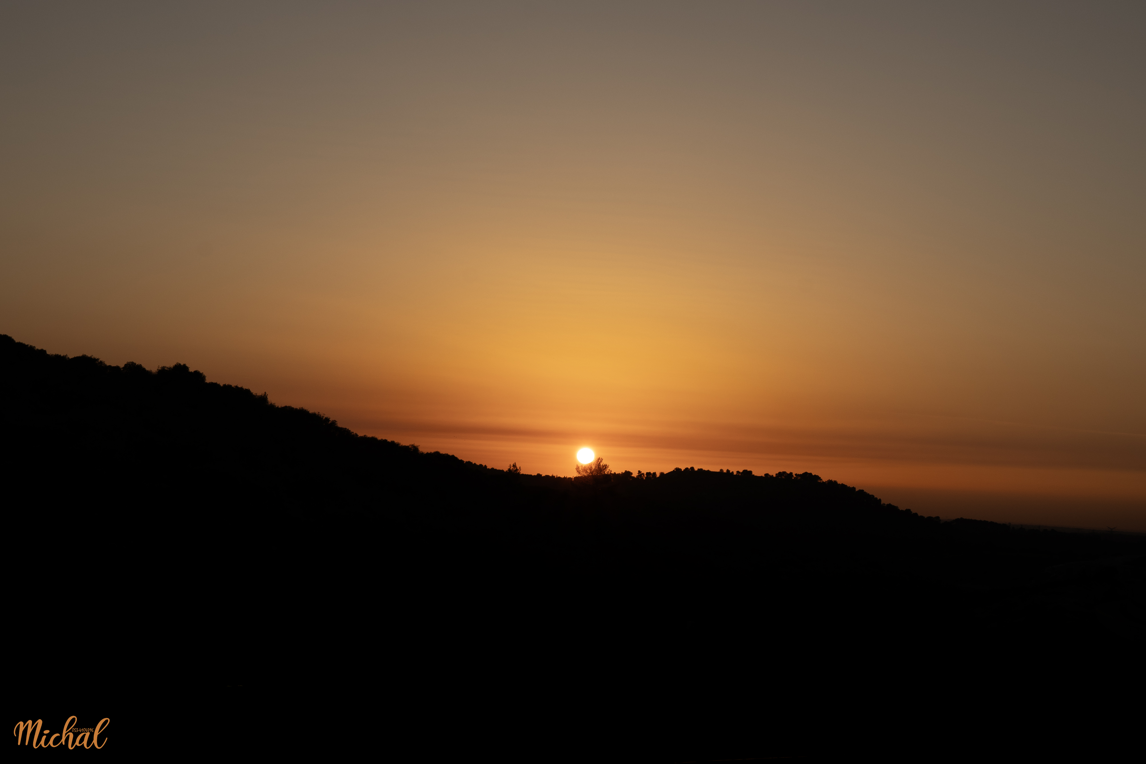 צילום מיכל 1 0534104396.jpg