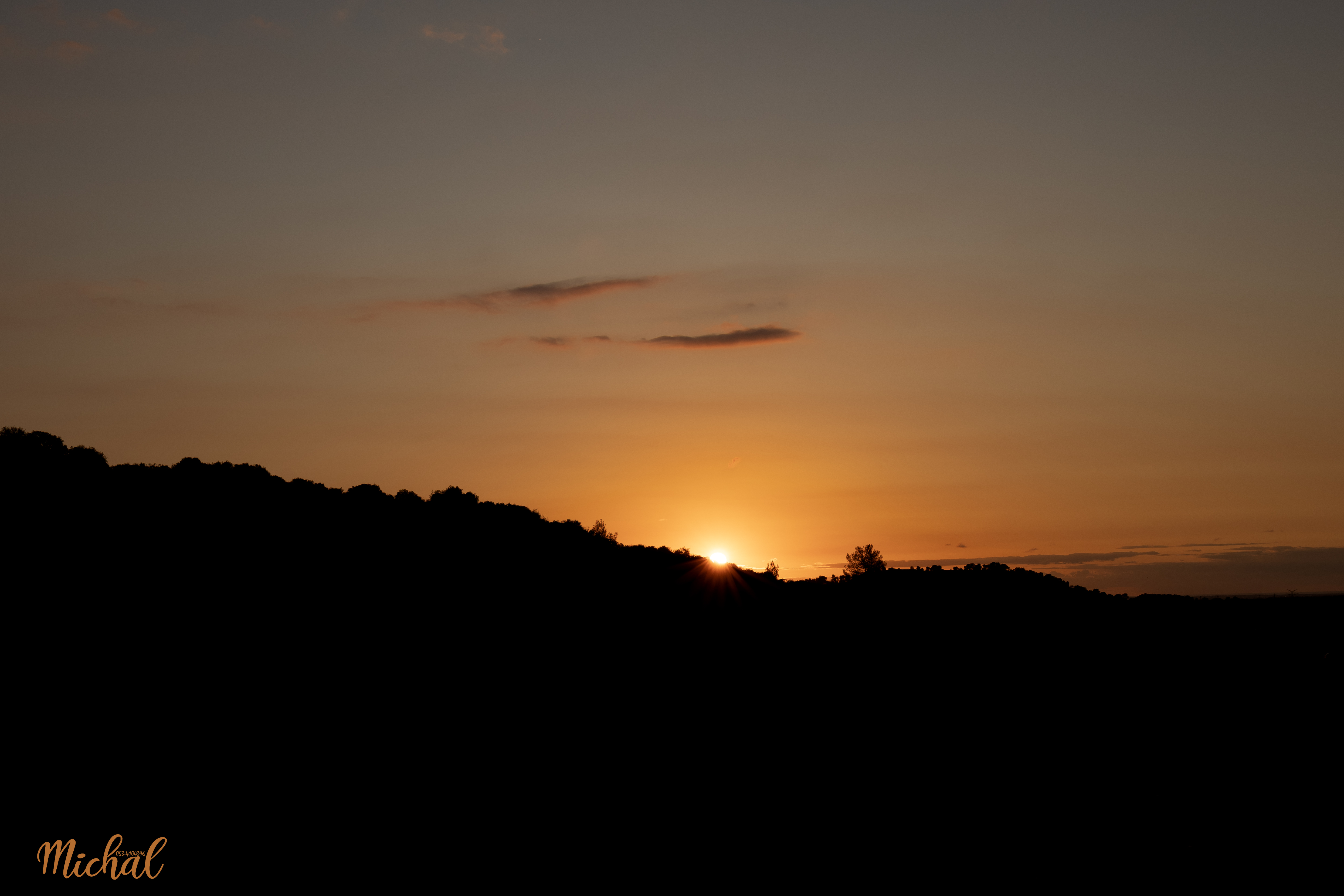 צילום מיכל 3 0534104396.jpg