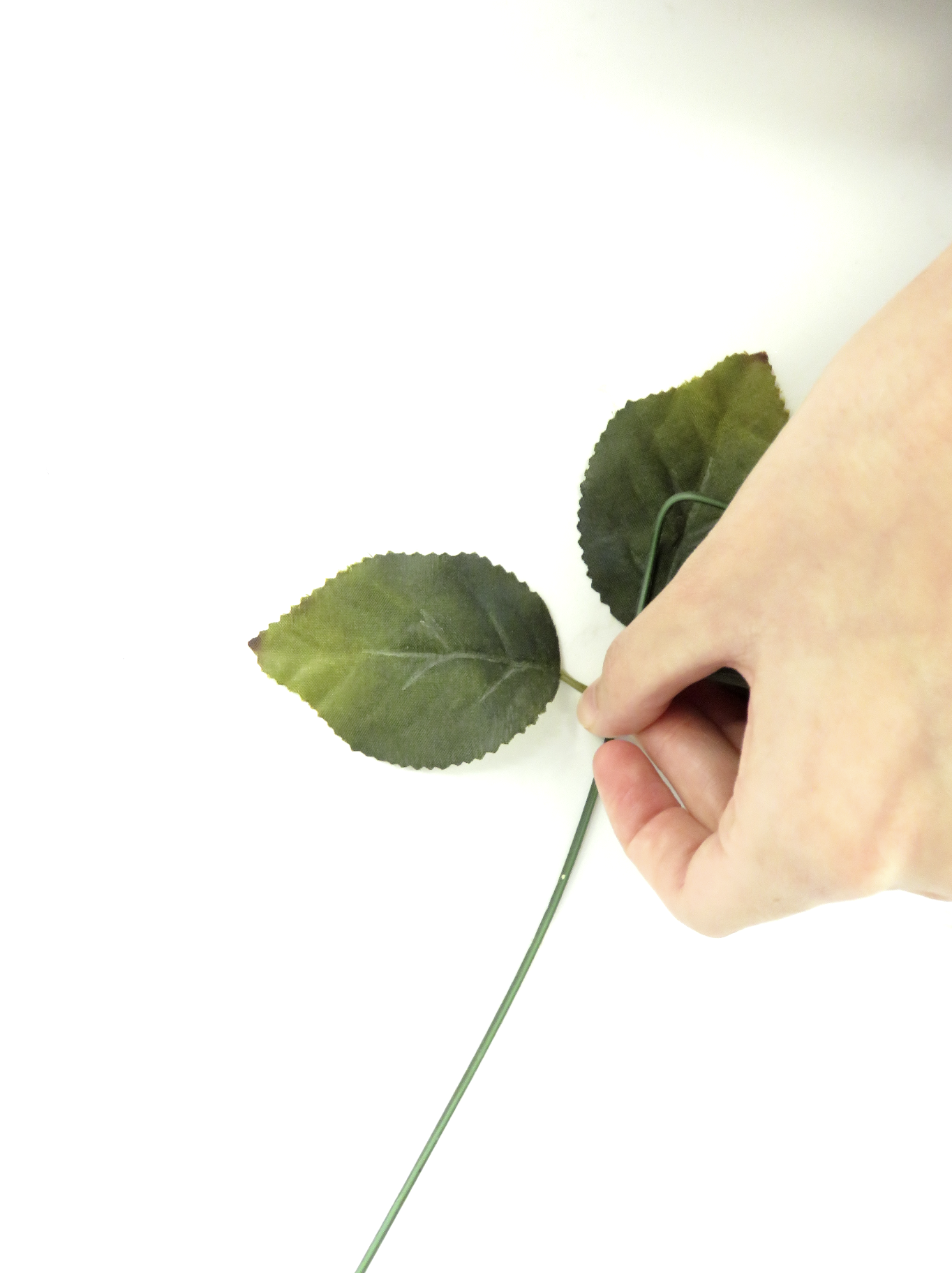 צילום מסך 2019-08-08 ב-15.42.09.png