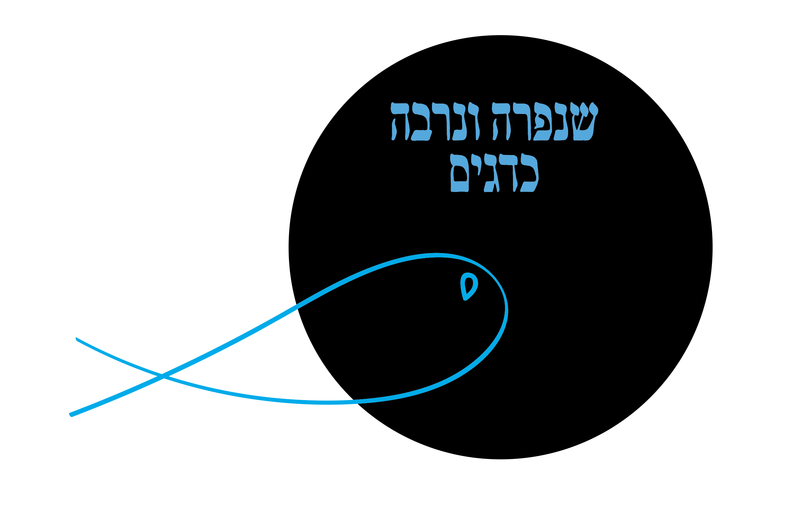 צילום מסך 2019-09-09 ב-18.24.14.png
