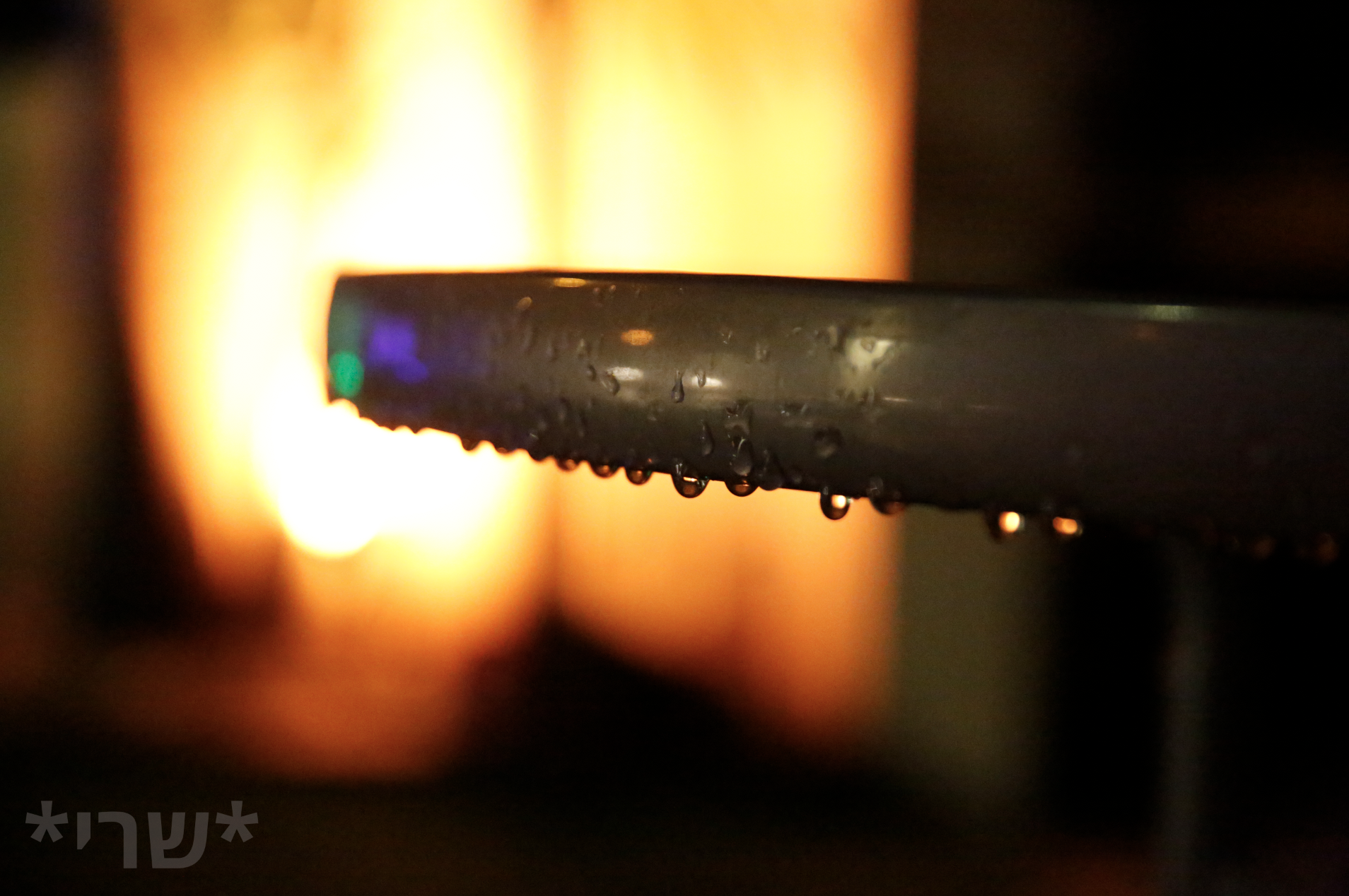 צילום מסך 2019-12-11 ב-20.36.54.png