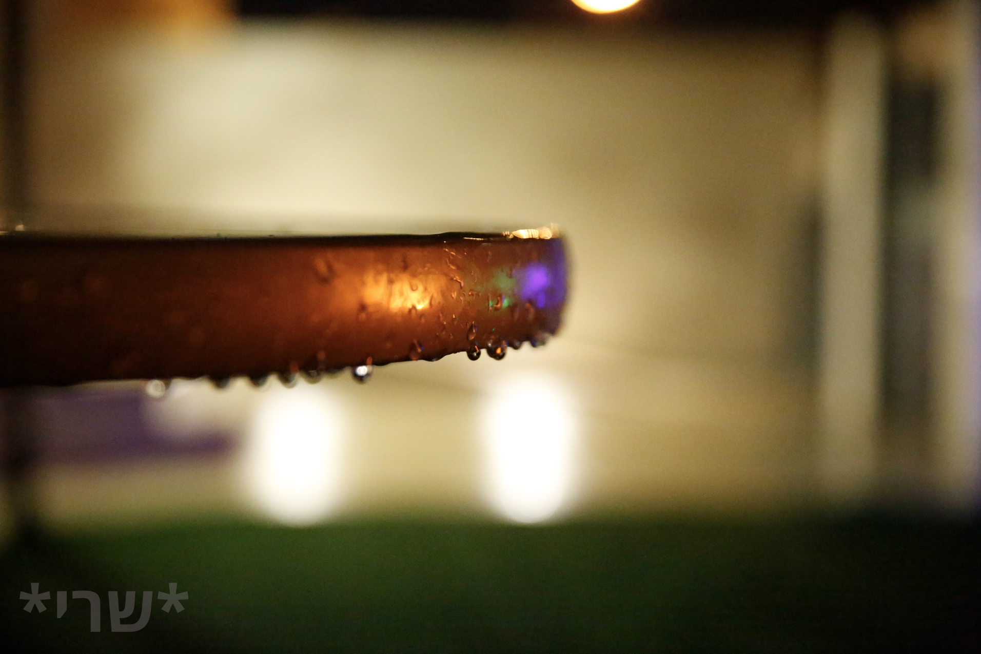 צילום מסך 2019-12-11 ב-20.37.27.png