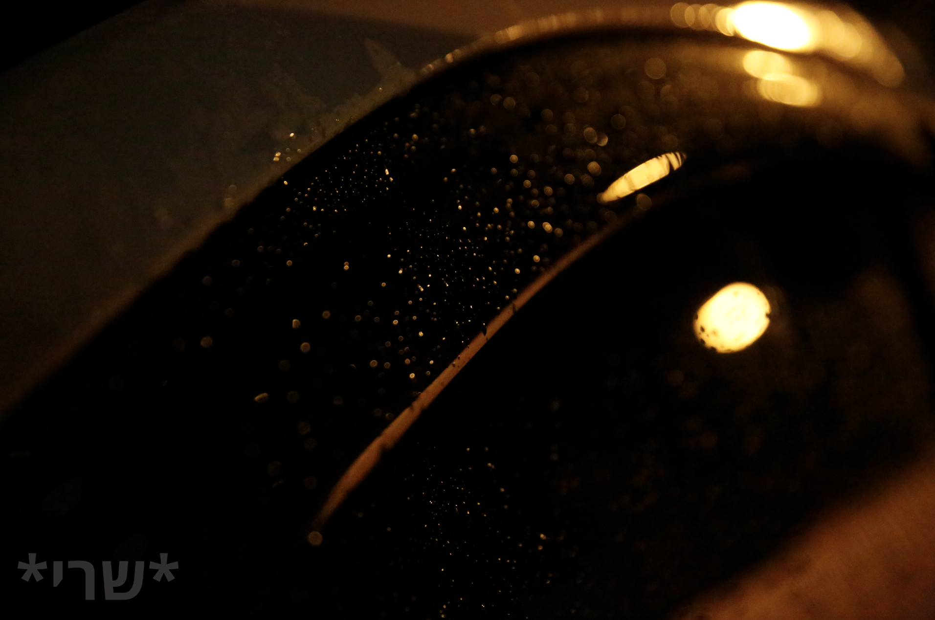 צילום מסך 2019-12-11 ב-20.38.34.png