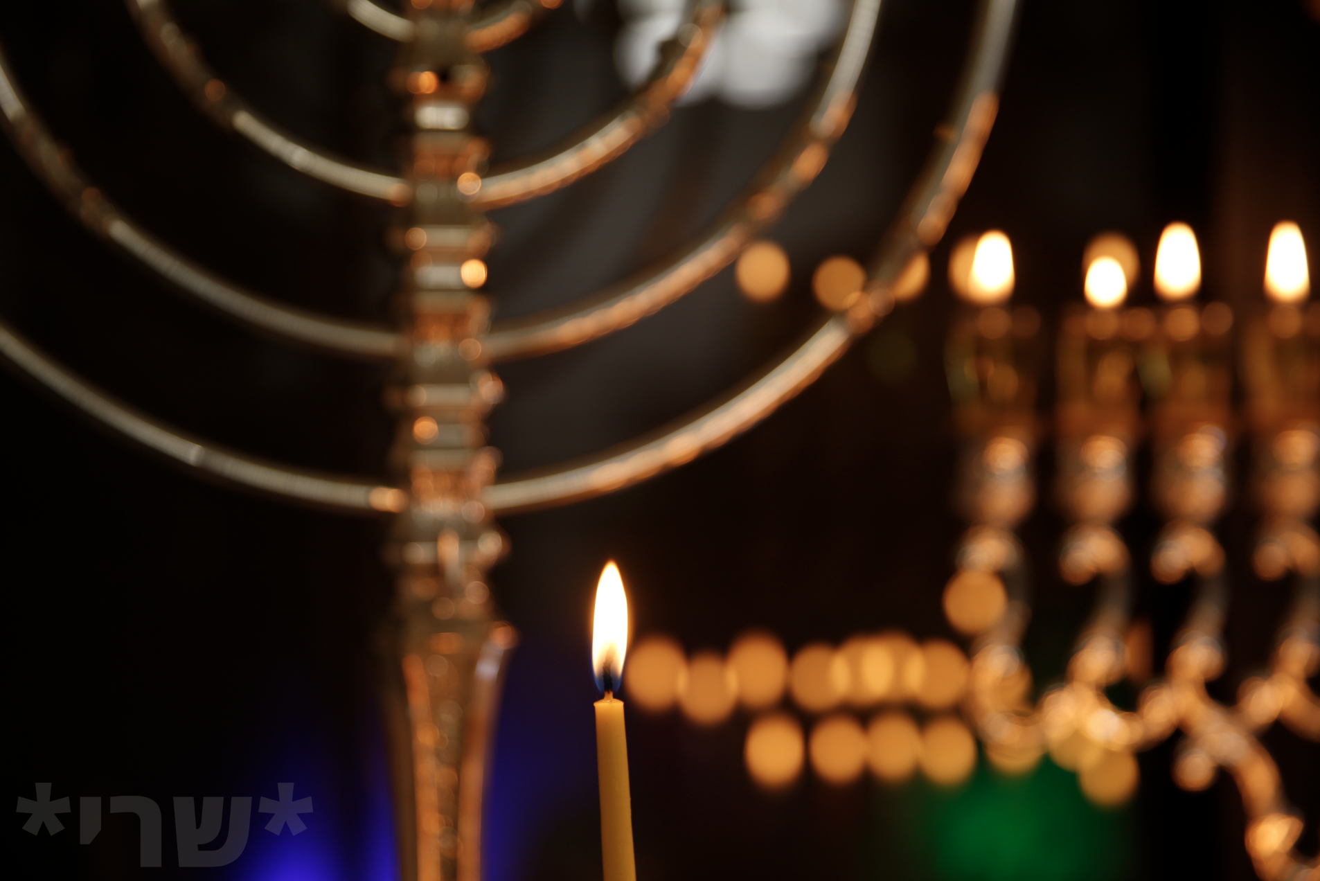 צילום מסך 2019-12-30 ב-0.40.33.png