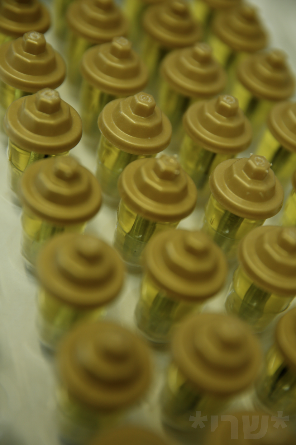 צילום מסך 2019-12-30 ב-0.40.40.png