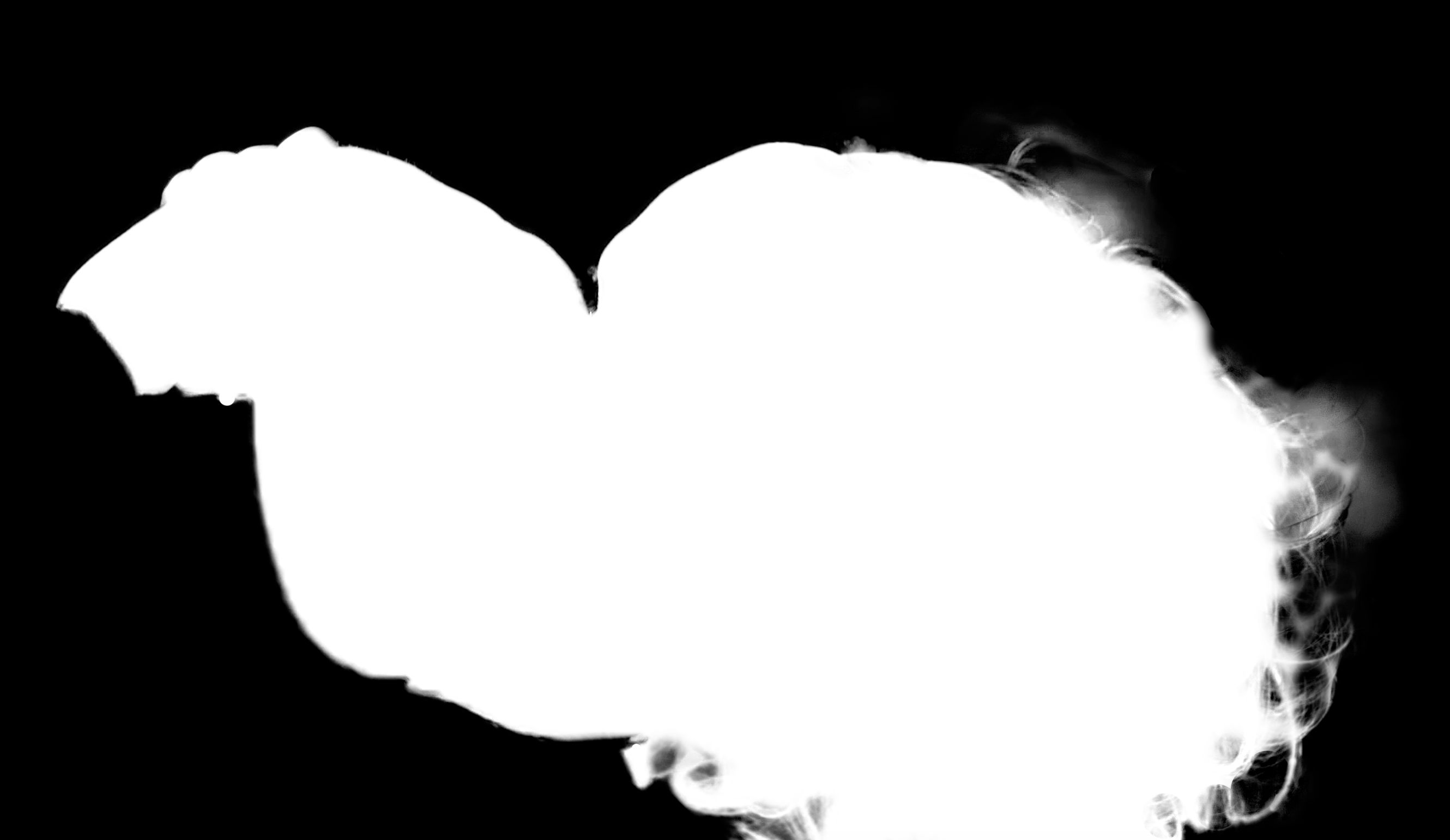 צילום מסך 2019-12-30 ב-23.38.38.png