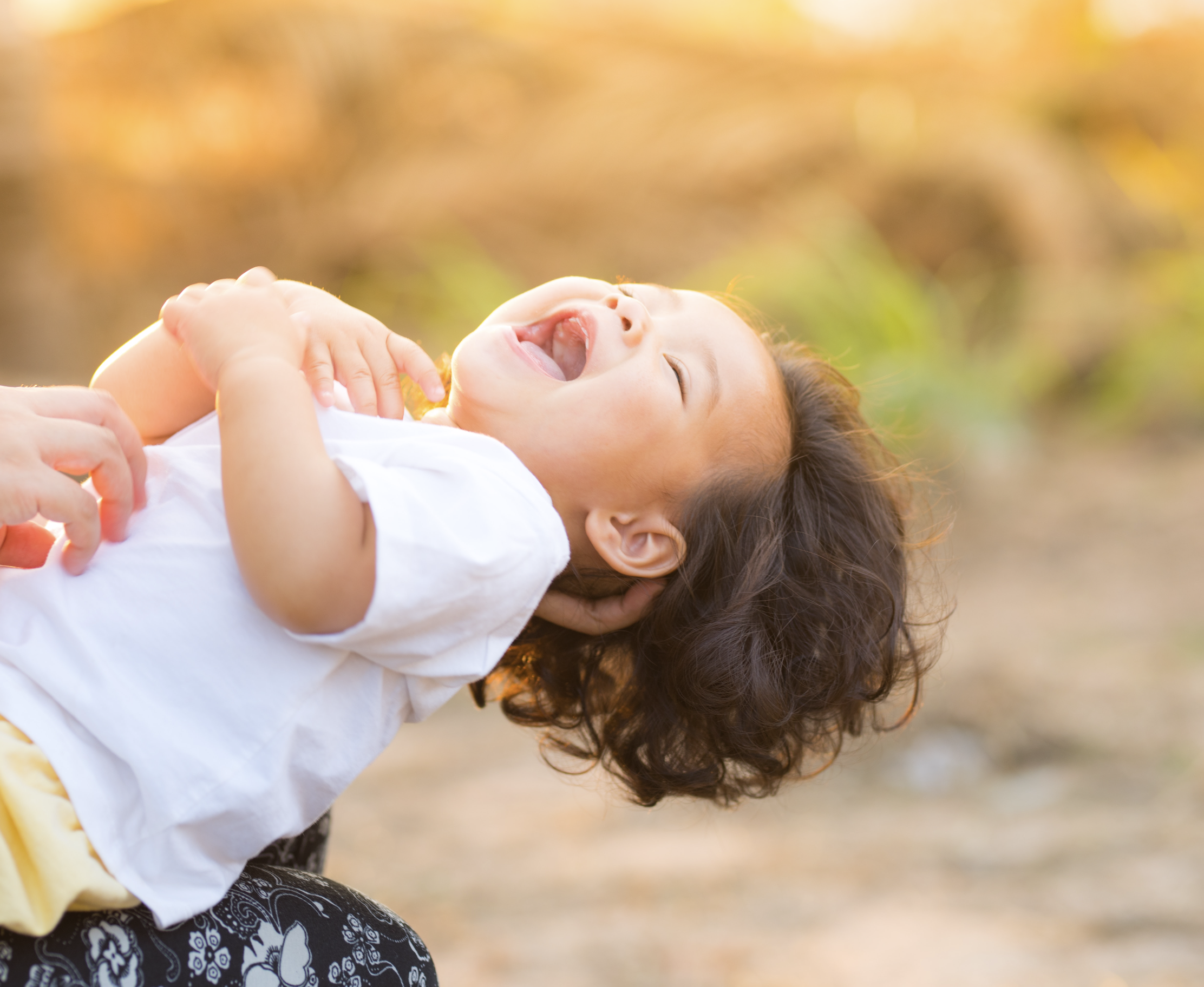 צילום מסך 2019-12-31 ב-0.02.00.png