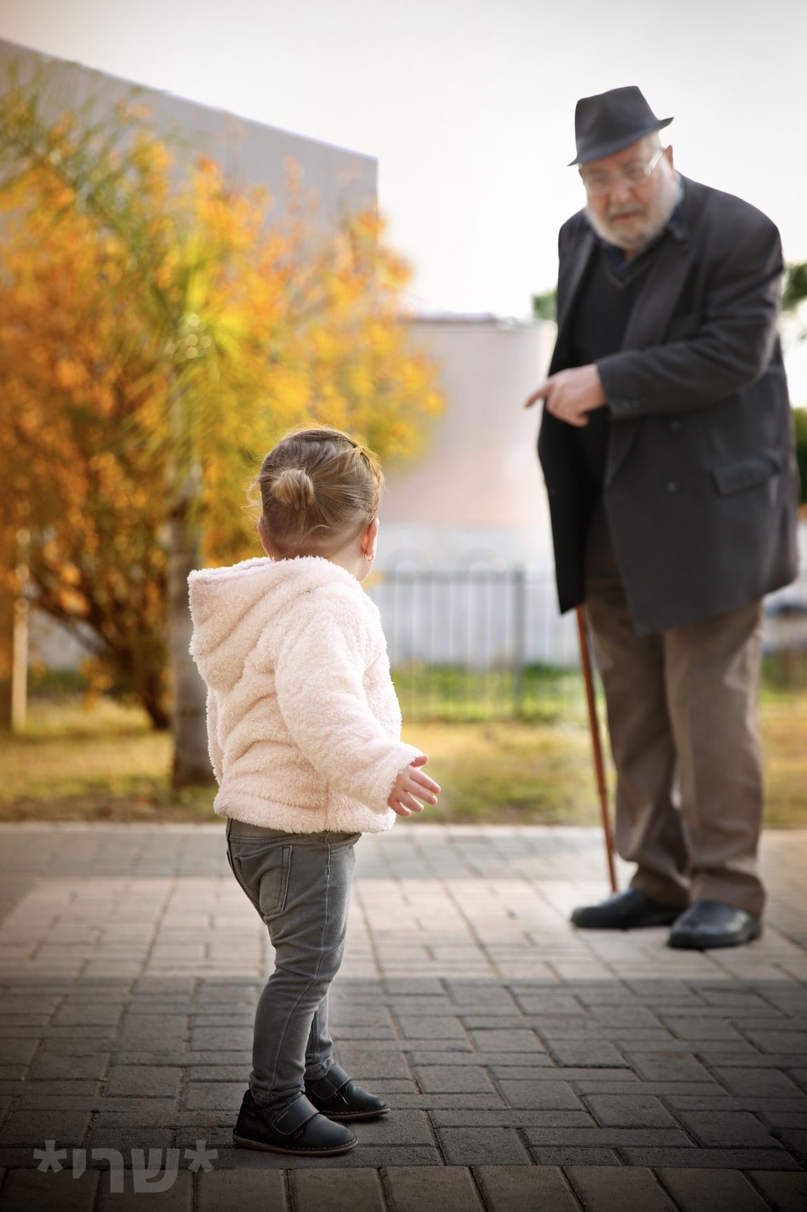 צילום מסך 2020-01-02 ב-23.18.36.png