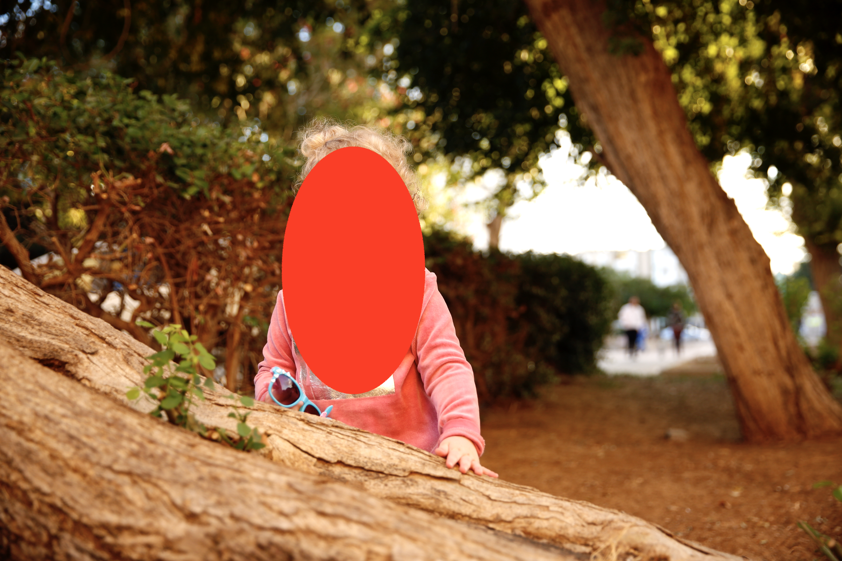 צילום מסך 2020-01-04 ב-23.07.18.png