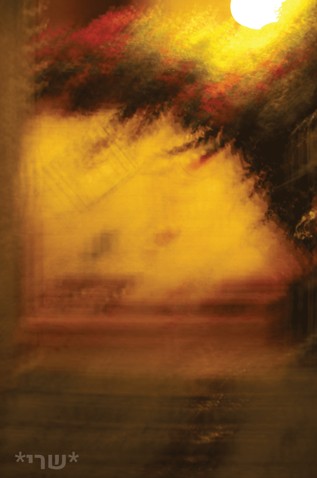 צילום מסך 2020-07-26 ב-16.31.14.png