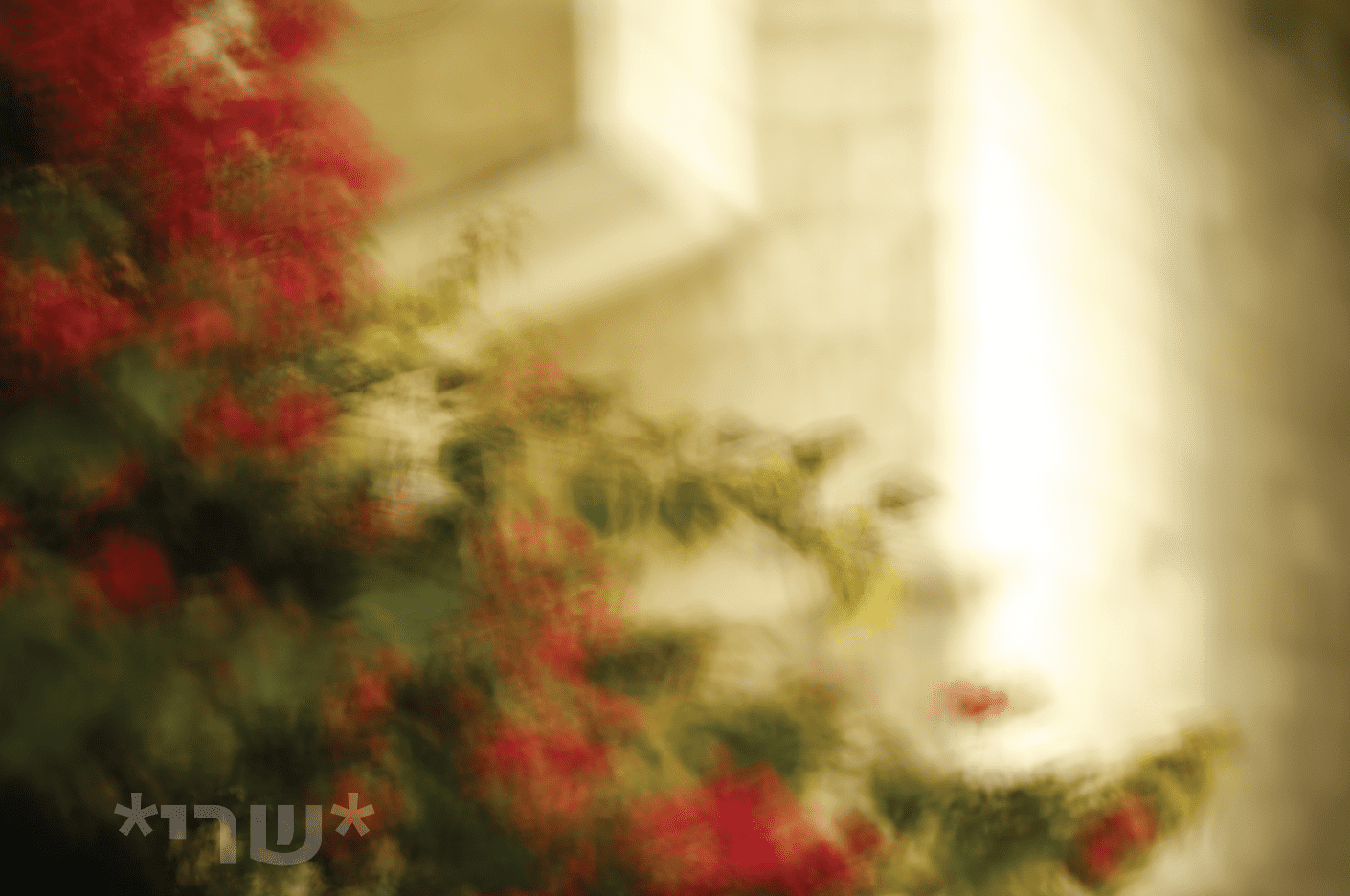 צילום מסך 2020-07-26 ב-16.51.20.png