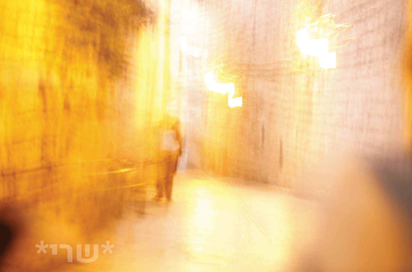 צילום מסך 2020-07-26 ב-16.51.35.png