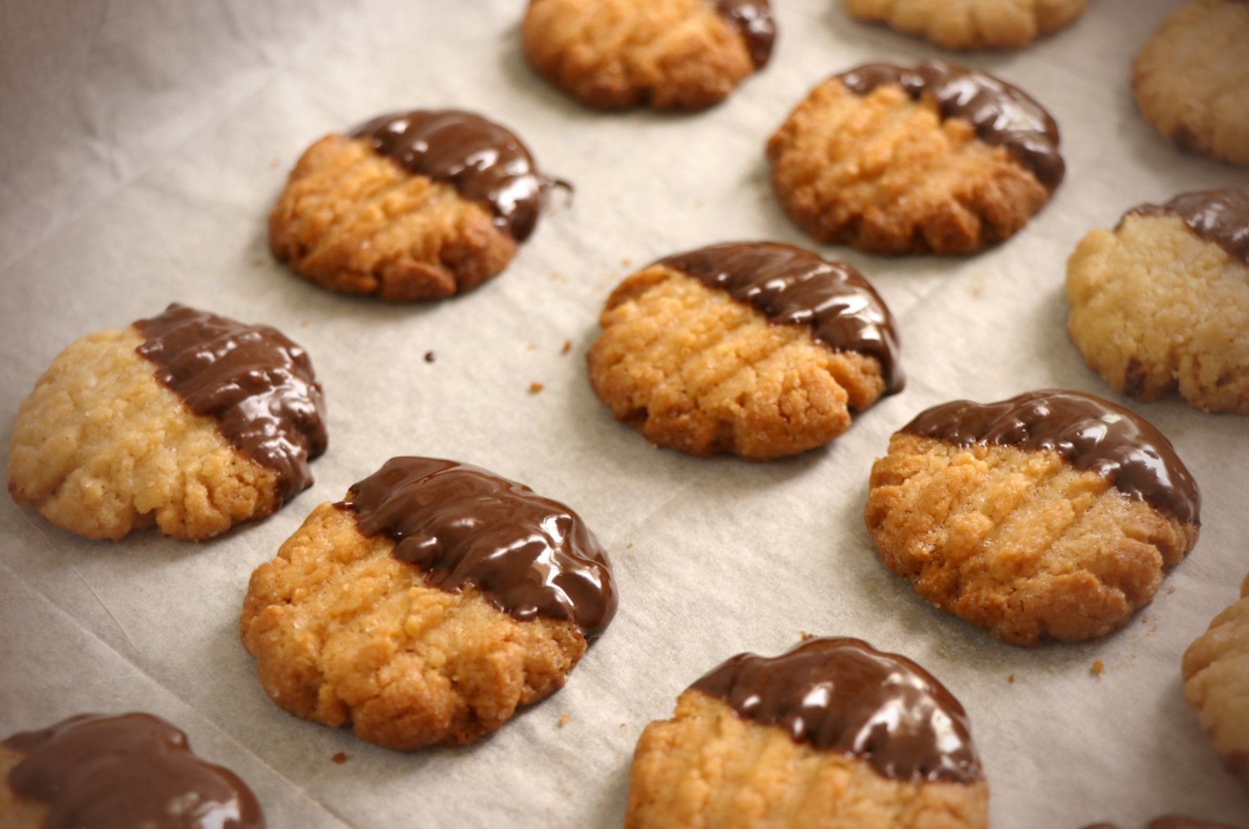 צילום מסך 2020-09-30 134203.jpg