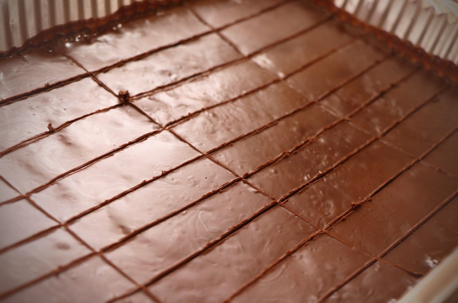 צילום מסך 2020-09-30 134750.jpg