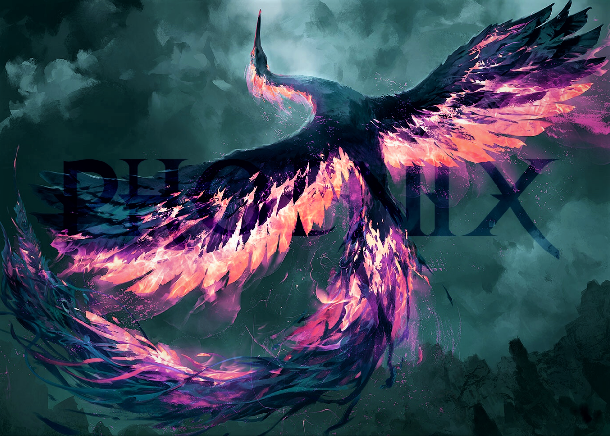 צילום מסך 2020-11-02 231836.png