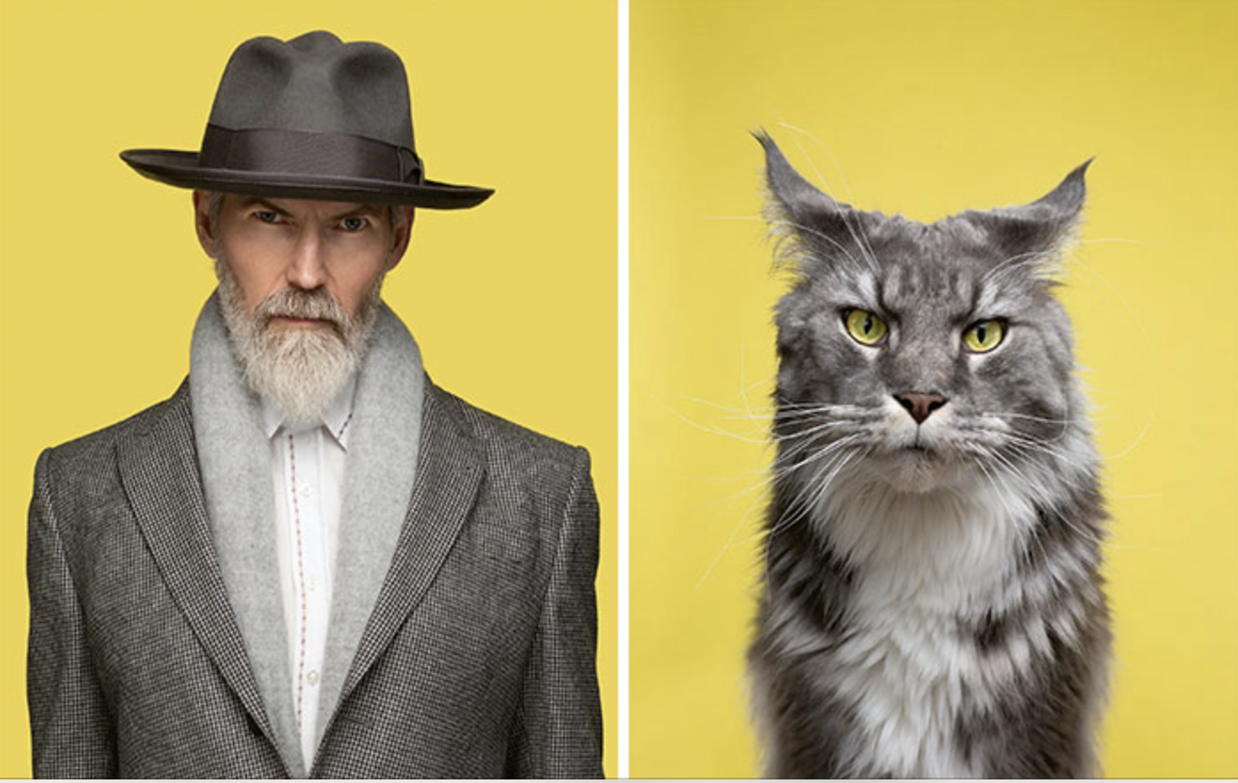 צילום מסך 2020-12-23 ב-15.37.02.png