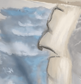 צילום מסך 2021-05-11 145218.png