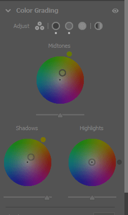 צילום מסך 2021-06-25 170444.png