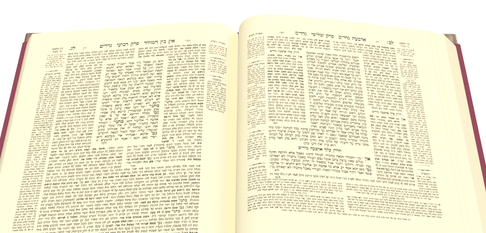 צילום מסך 2021-07-11 131639.png