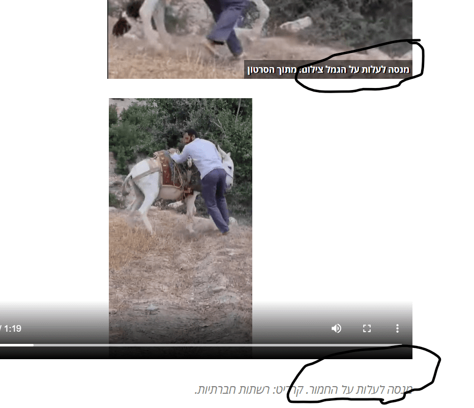 צילום מסך 2021-07-25 025721.png