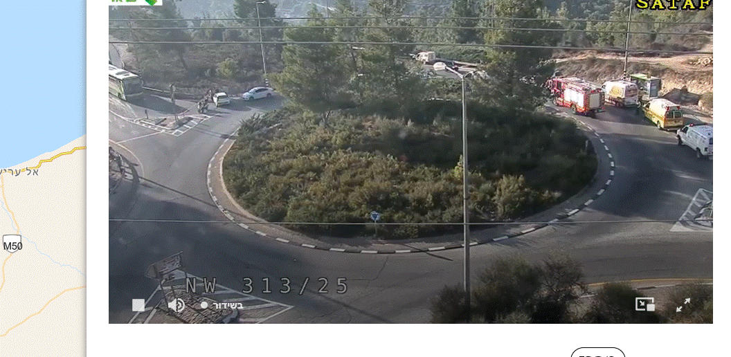 צילום מסך 2021-08-16 175629.gif