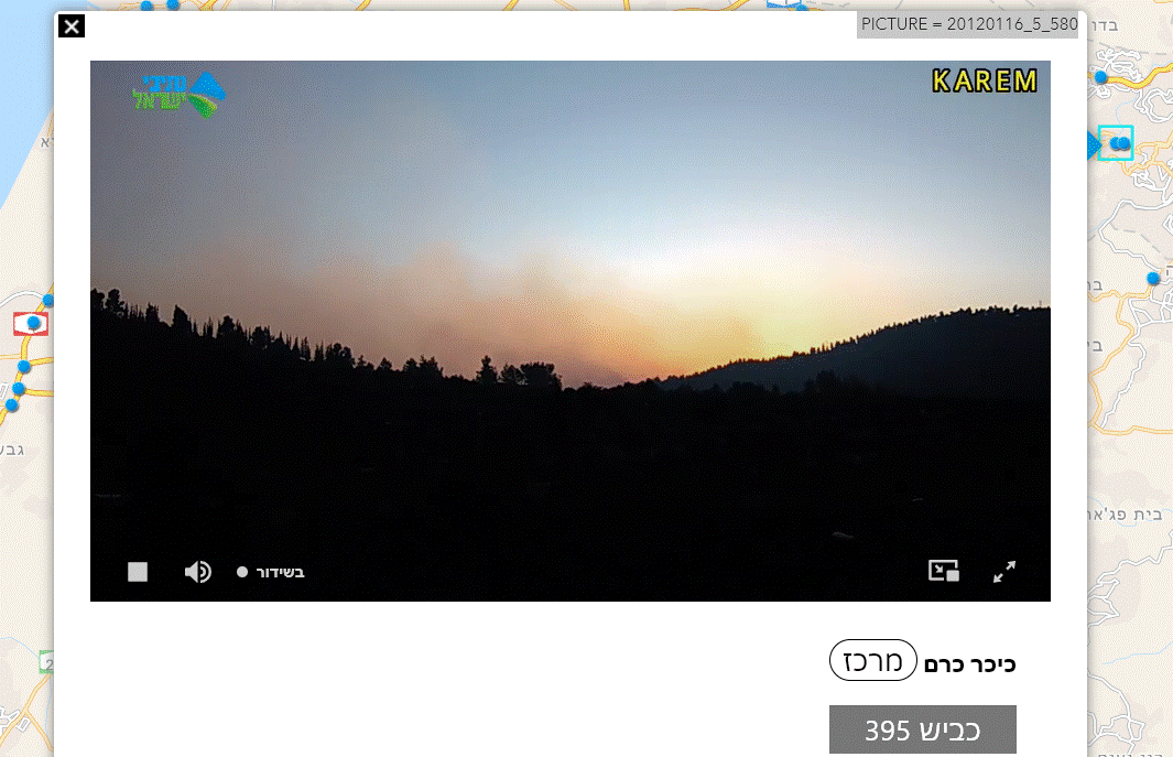 צילום מסך 2021-08-16 190959.gif