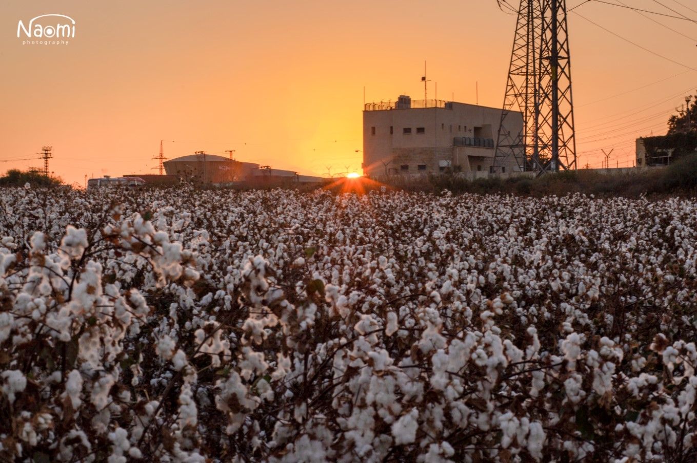 צילום מסך 2021-10-04 234757.jpg