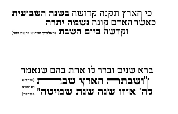 צילום מסך 2021-10-25 223908.jpg