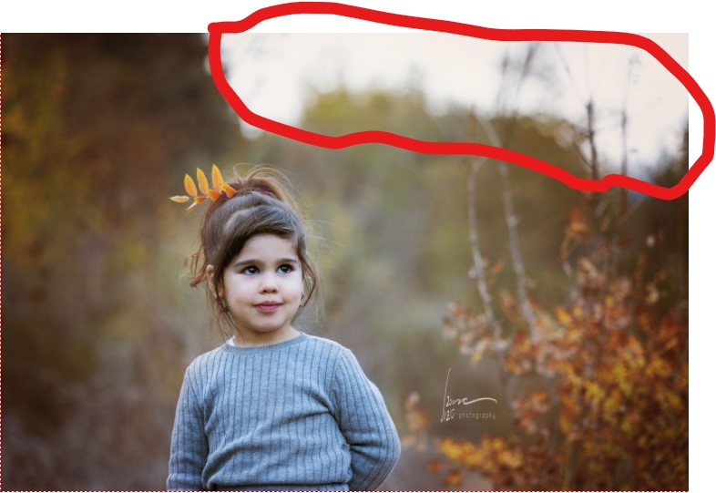 צילום מסך 2021-12-15 163753.jpg