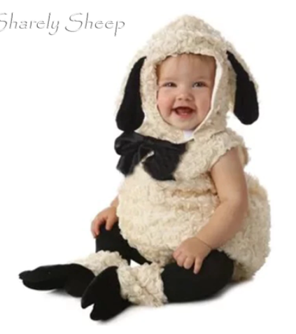 צילום מסך 2022-01-19 110950.png