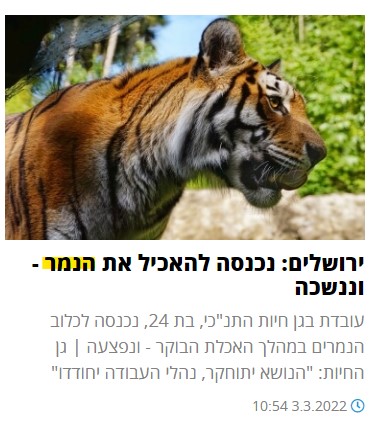 צילום מסך 2022-03-03 202845.jpg