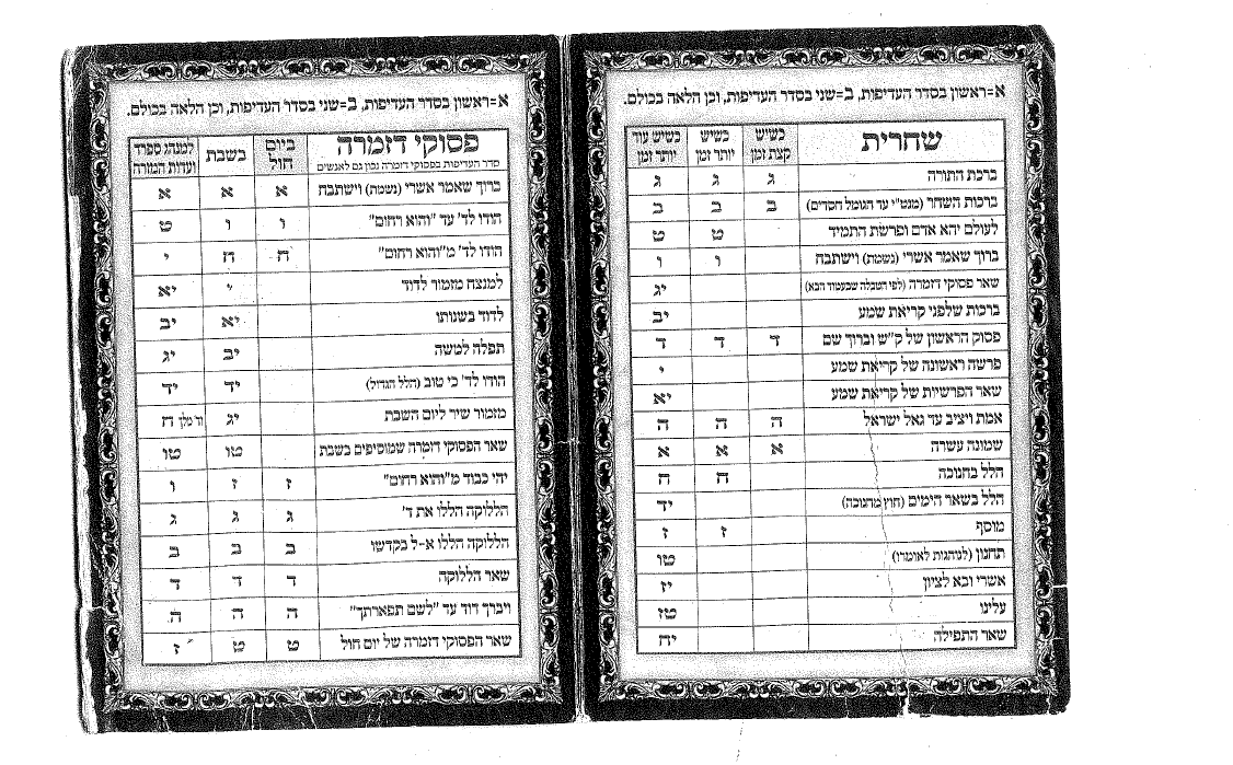 צילום מסך 2022-05-18 082403.png