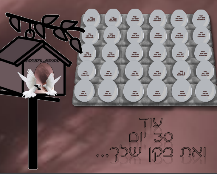 צילום מסך 2022-05-18 144518.png
