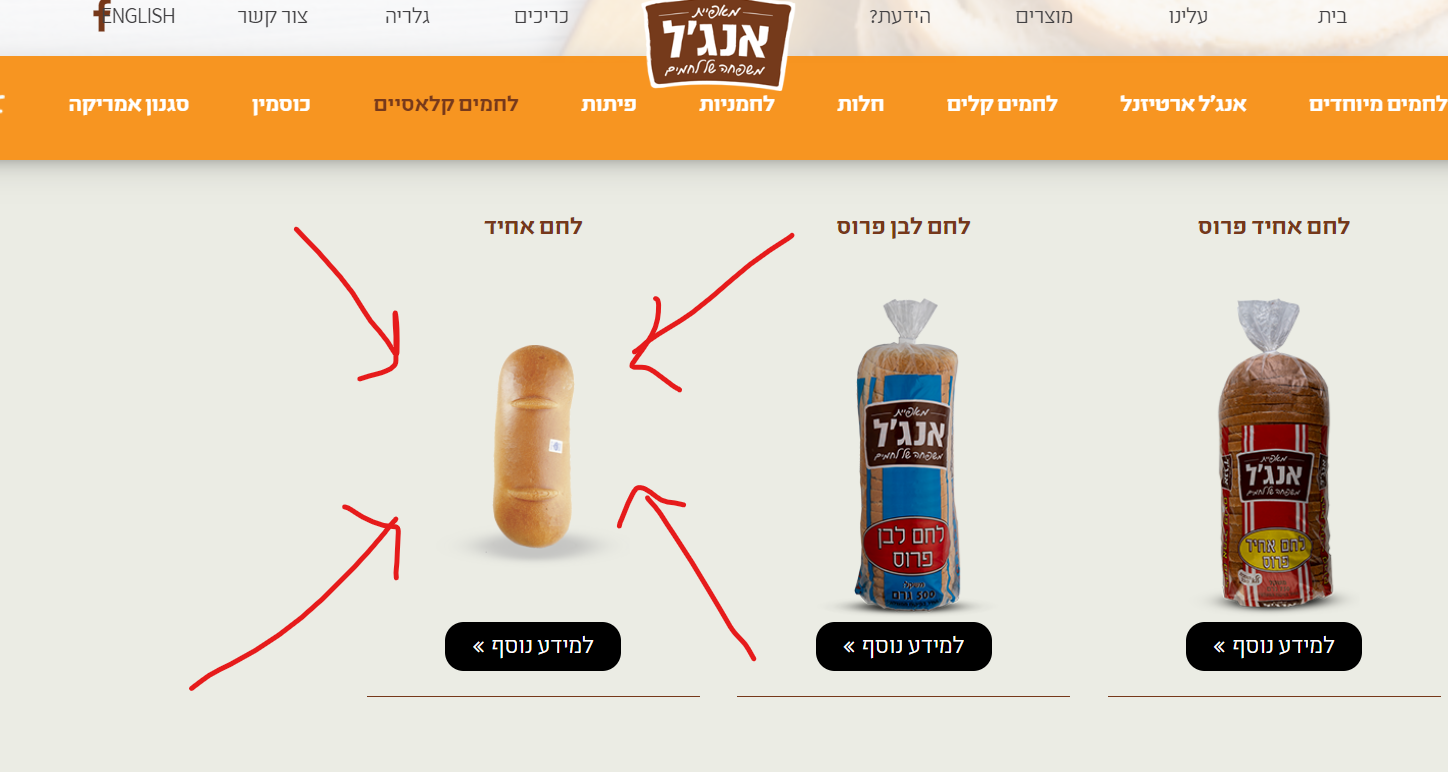 צילום מסך 2022-05-24 011240.png