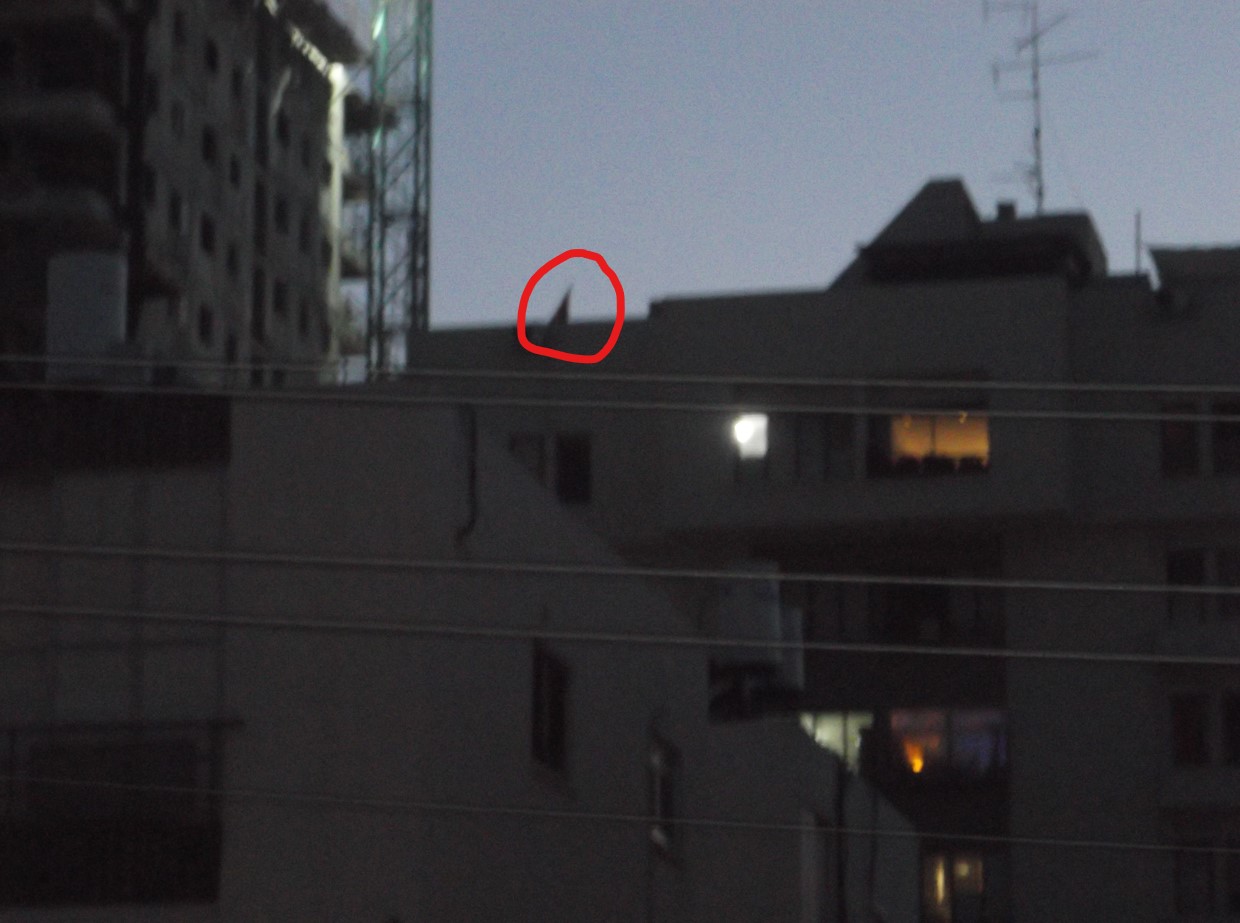 צילום מסך 2022-05-31 201043.jpg