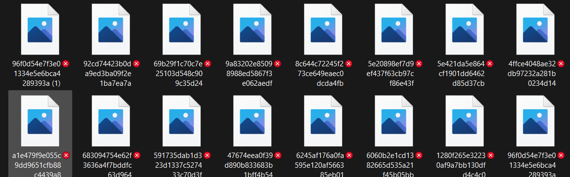 צילום מסך 2022-06-01 114343.png