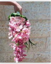צילום מסך 2022-06-12 224400.png