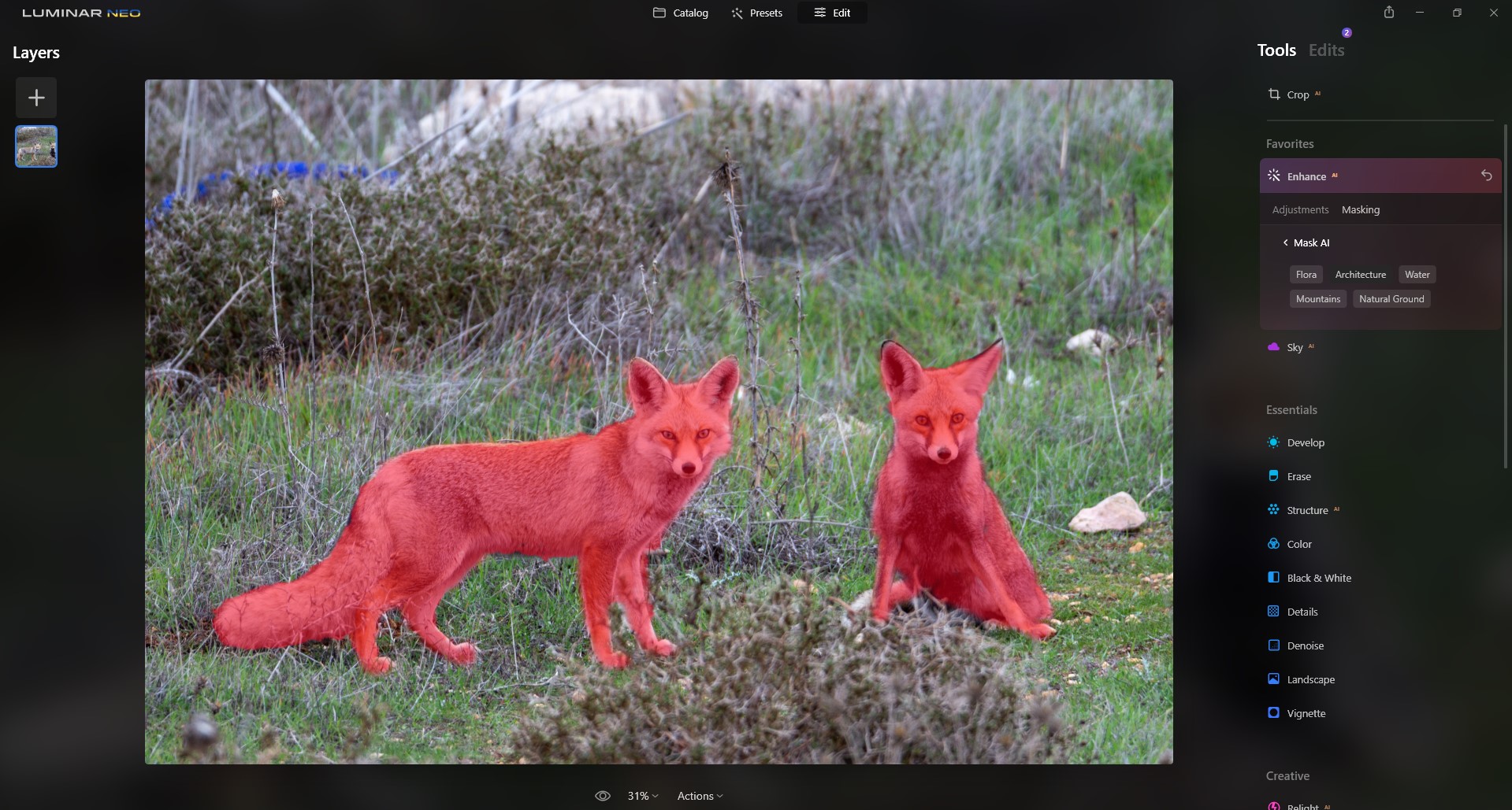 צילום מסך 2022-06-20 143838.jpg