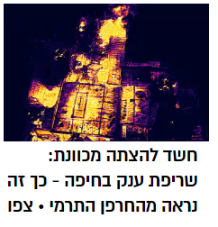 צילום מסך 2022-06-26 130112.png