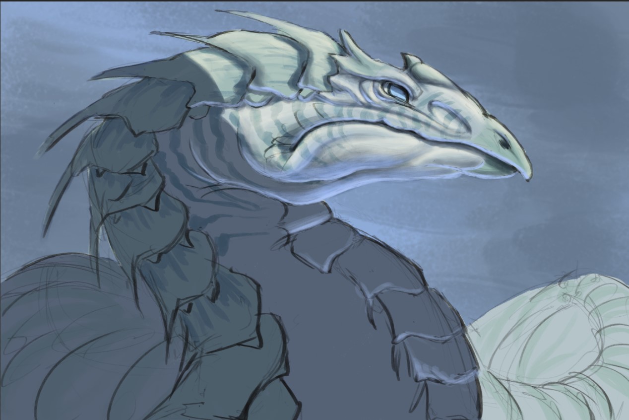 צילום מסך 2022-06-28 143525.jpg